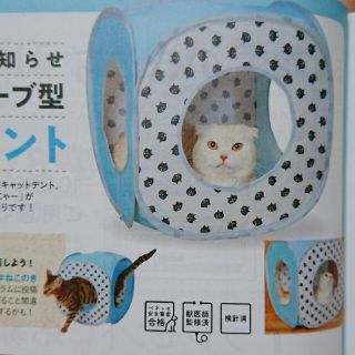 ねこのきもち付録 にゃー キューブ型キャットテント&健康手帳セットの