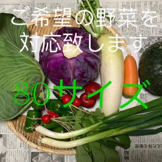 新鮮秋野菜、80サイズ、5キロ、送料込み(野菜)