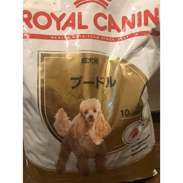 【パッケージ破れあり】ロイヤルカナン プードル 成犬用 7.5kg