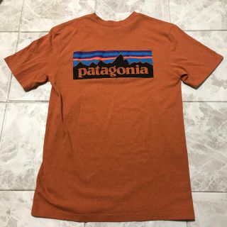 パタゴニア(patagonia)のパタゴニア　patagonia(Tシャツ/カットソー(半袖/袖なし))