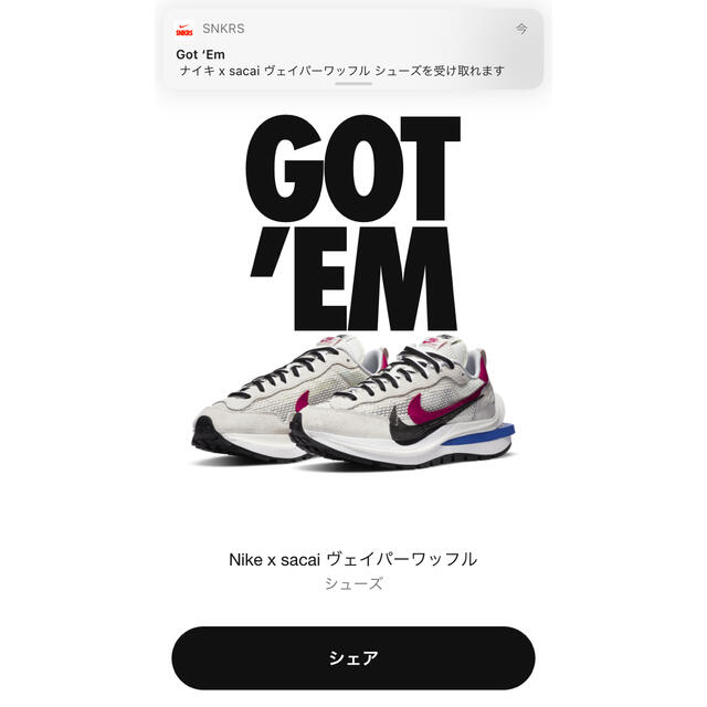 NIKE　SACAI 30センチメンズ