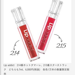 ディオール(Dior)のリップアディクト　限定色　サロン専売(リップグロス)