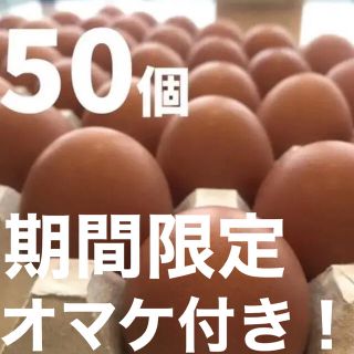 蔵王鶏園の「眠れる森のたまご」(野菜)