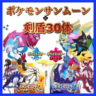 ポケットモンスターサンムーン　剣盾30体