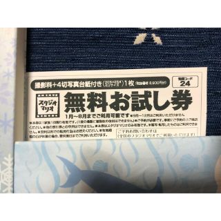 キタムラ(Kitamura)の5枚分☆カメラのキタムラ スタジオマリオ 無料お試し券(アルバム)