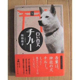 『白い番犬　チルー』岡田桃子　（リサイクル本）(その他)