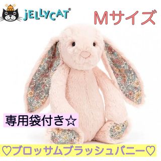 ジェラートピケ(gelato pique)のまきちゃん様専用ジェリーキャット  ブロッサム　ブラッシュバニー　Ｍ　③(ぬいぐるみ/人形)