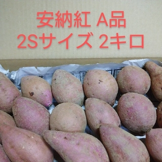 種子島安納紅 2Sサイズ 2キロ(野菜)