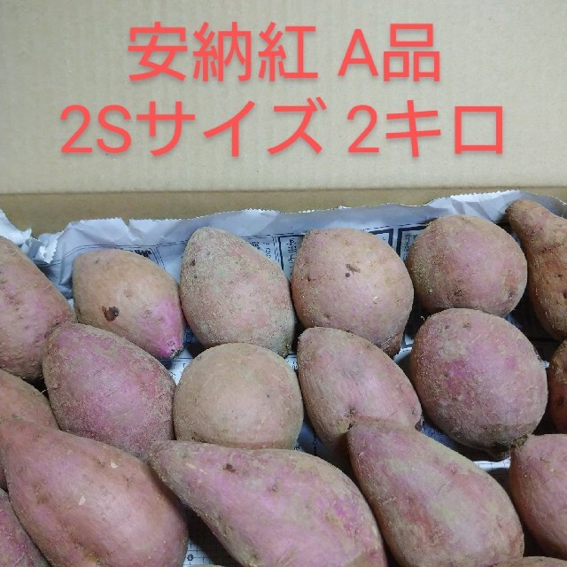 種子島安納紅 2Sサイズ 2キロ 食品/飲料/酒の食品(野菜)の商品写真