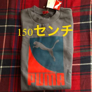 プーマ(PUMA)のプーマ　ボックスロゴ　トレーナー　150センチ(Tシャツ/カットソー)