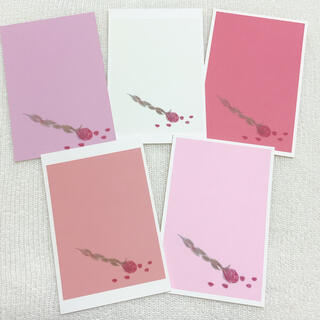 【5枚セット】ポストカード　薔薇　花　ピンク　おしゃれ　かわいい　シンプル(カード/レター/ラッピング)