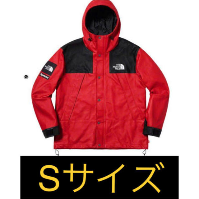 THE NORTH FACE(ザノースフェイス)のシュプリーム ノースフェイスレザーマウンテンパーカー メンズのジャケット/アウター(マウンテンパーカー)の商品写真