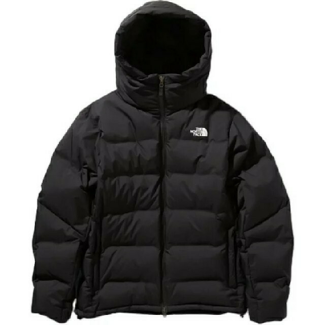 THE NORTH FACE BELAYER PARKA WEB 限定 即完売-