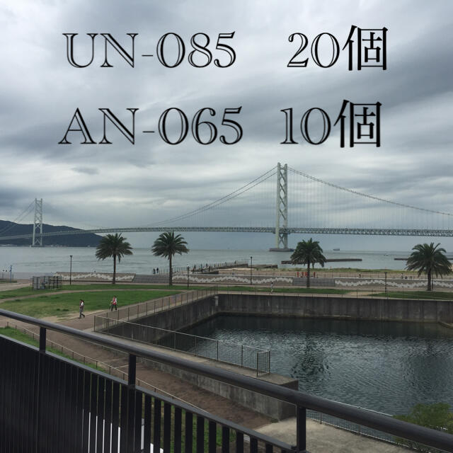 UN-085 C2 20個 + AN-065 C2 10個 セットのサムネイル