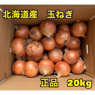 北海道産玉ねぎ品種北もみじ2000(野菜)