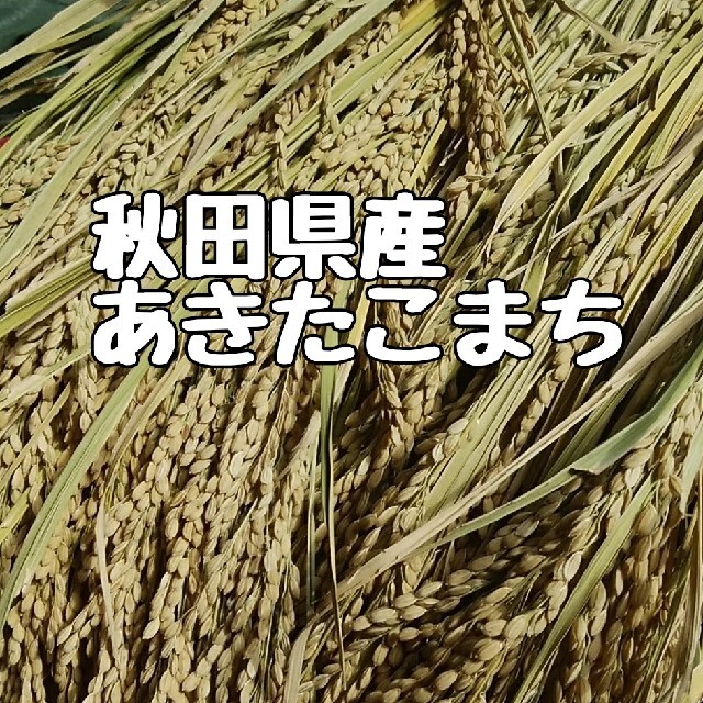 新米秋田県産あきたこまち玄米減農薬米/穀物