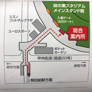 【リオさん専用】招待券2枚徳島ヴォルティス vs 東京ヴェルディ11/7(土)(その他)