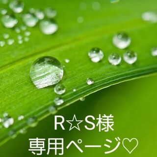 R☆S様専用ページ♡(野菜)