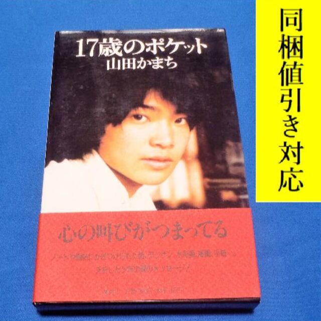 集英社(シュウエイシャ)の17歳のポケット　山田かまち 著📕夭折した天才少年が遺した熱い魂のメッセージ！ エンタメ/ホビーの本(人文/社会)の商品写真