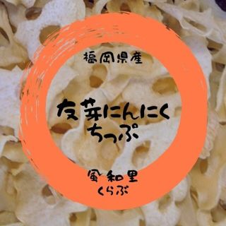 友芽にんにくちっぷ【ヤクルト様専用】(野菜)