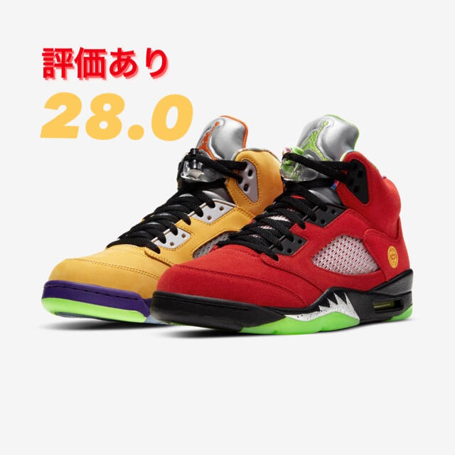 正規品 28.0 AIR JORDAN 5 WHAT THE NIKEスニーカー