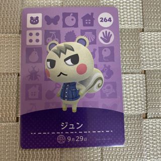 amiibo カード　ジュン　アミーボカード (カード)