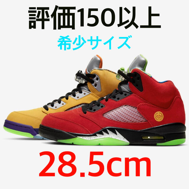 靴/シューズNIKE AIR JORDAN 5 "WHAT THE"  28.5cm