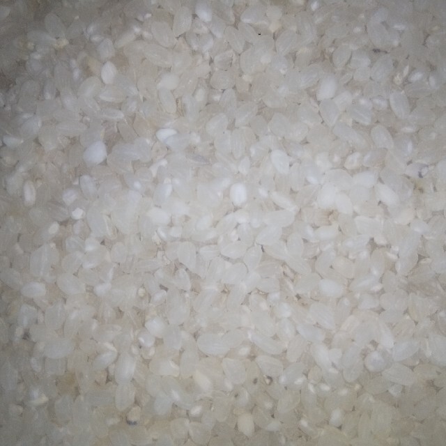 ブレンド精米　(うるち米)        10Kg 食品/飲料/酒の食品(米/穀物)の商品写真