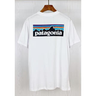 パタゴニア(patagonia)のPatagonia☆パタゴニアTシャツ　Lサイズ(Tシャツ/カットソー(半袖/袖なし))