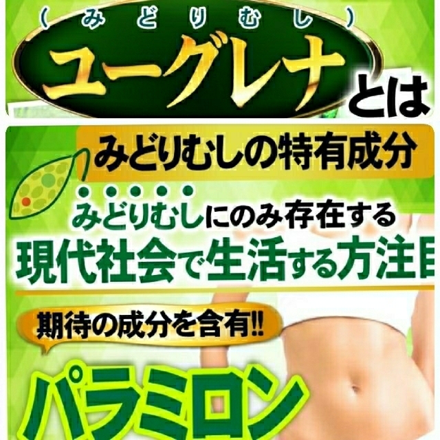 大人気❗️ダイエットサプリ パクッと ユーグレナ シェイプ美人（6ヶ月分） 食品/飲料/酒の健康食品(青汁/ケール加工食品)の商品写真