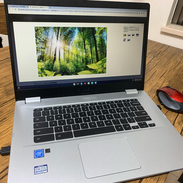 Chromebook C523NA-EJ0130