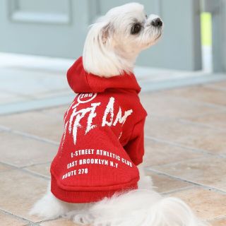 新品タグ付＊Calulu＊ストリームフーディ＊犬服ドッグウェア 小型犬M＊男の子(犬)