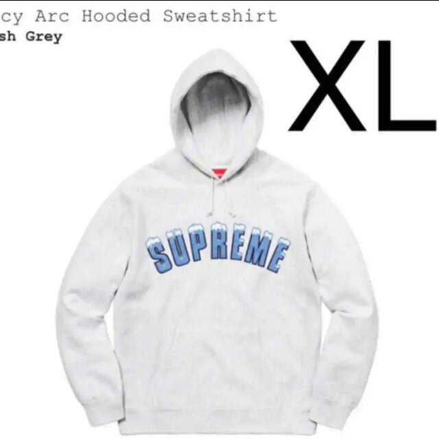 Supreme Icy Arc Hooded Sweatshirt 20FW