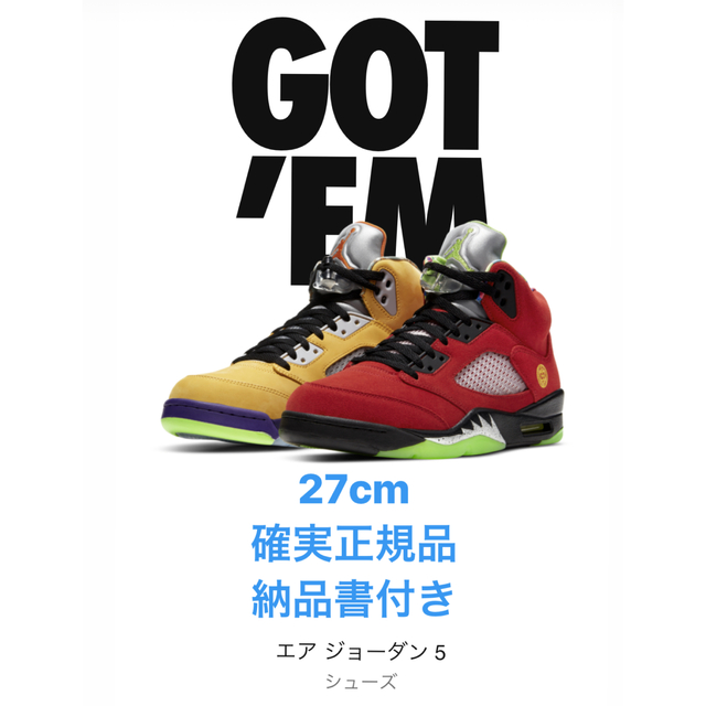 NIKE Air Jordan 5 Retro SE 27cm what the