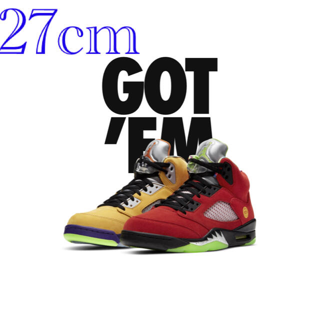 靴/シューズNike Air Jordan 5 Retro What The 27cm