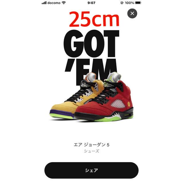 NIKE(ナイキ)のエアジョーダン5 what the 25cm メンズの靴/シューズ(スニーカー)の商品写真