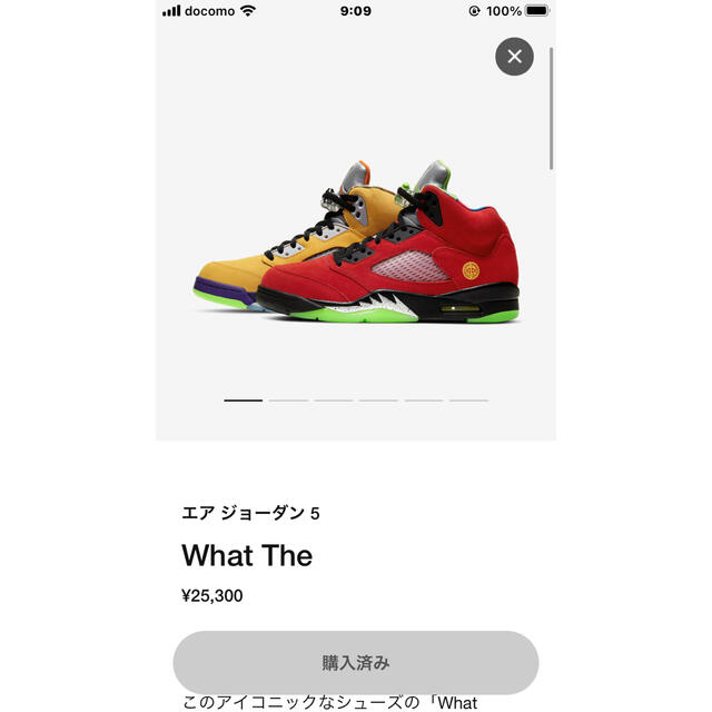 NIKE(ナイキ)のエアジョーダン5 what the 25cm メンズの靴/シューズ(スニーカー)の商品写真