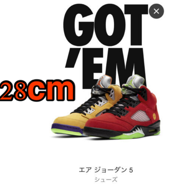 Air Jordan 5 Retro “What The”