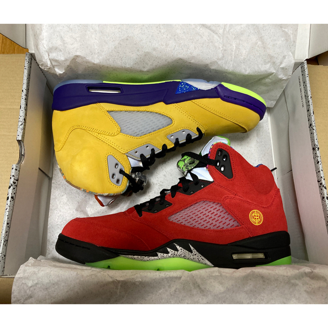 ２９センチ　Nike Air Jordan 5 Retro What The