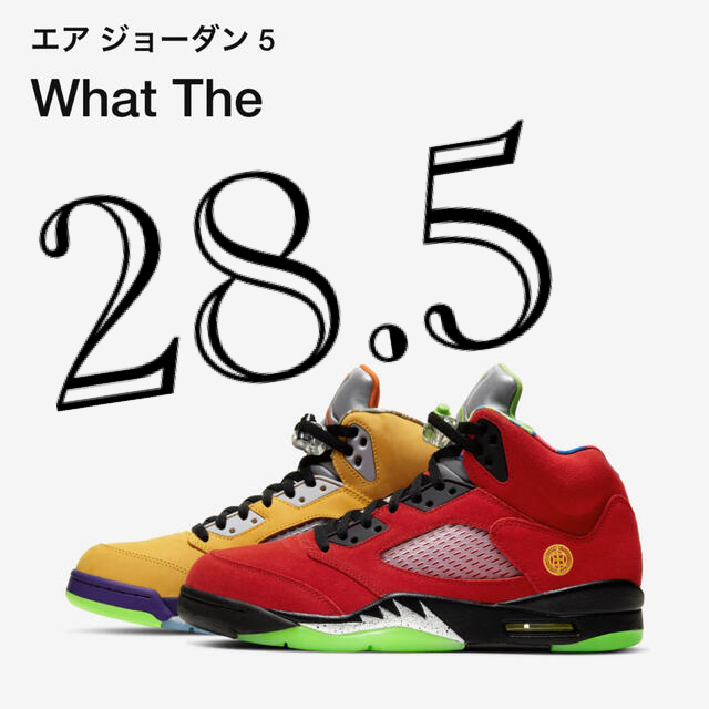 NIKE(ナイキ)のNIKE Air Jordan5 RetroSE What the 28.5cm メンズの靴/シューズ(スニーカー)の商品写真