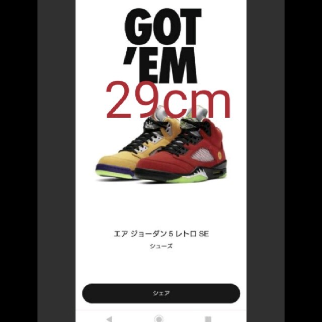 NIKE(ナイキ)のNIKE AIRJORDAN5 WHAT THE US11 29cm メンズの靴/シューズ(スニーカー)の商品写真