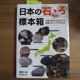 日本の石ころ標本箱 川原・海辺・山の石ころ採集ポイントがわかる(趣味/スポーツ/実用)