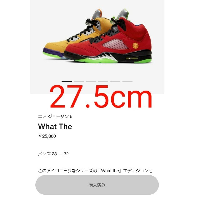 .5cm NIKE AIR JORDAN 5 RETRO SE   スニーカー