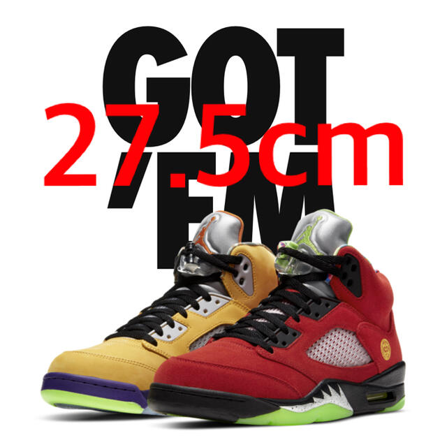 AIR JORDAN 5 RETRO SE what the Nike 27.5