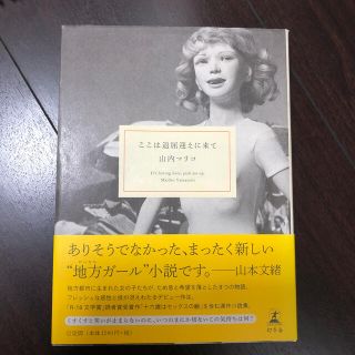 【こま様専用】ここは退屈迎えに来て(文学/小説)