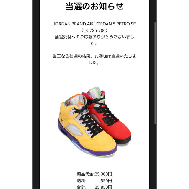 NIKE(ナイキ)のNIKE Air Jordan 5 Retro SE what the 27.5 メンズの靴/シューズ(スニーカー)の商品写真