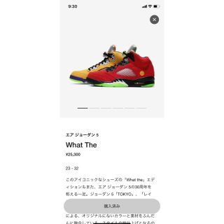 ナイキ(NIKE)のAIR JORDAN 5 RETRO SE what the Nike 26(スニーカー)