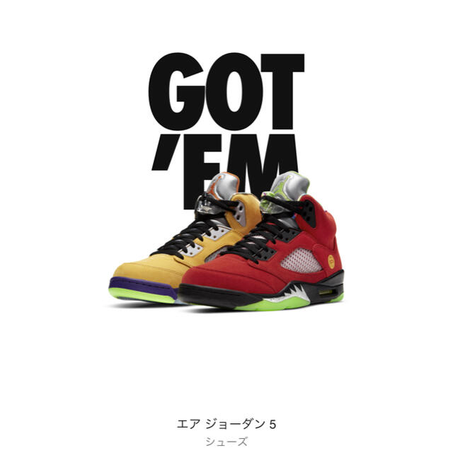 AIR JORDAN 5 WHAT THE 29cm