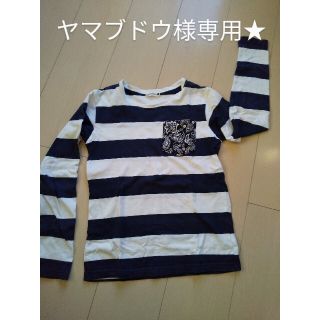 ブランシェス(Branshes)の専用☆140cm☆BranshesロンT(Tシャツ/カットソー)