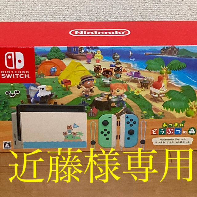 新品　Nintendo Switch あつまれ どうぶつの森セット　任天堂